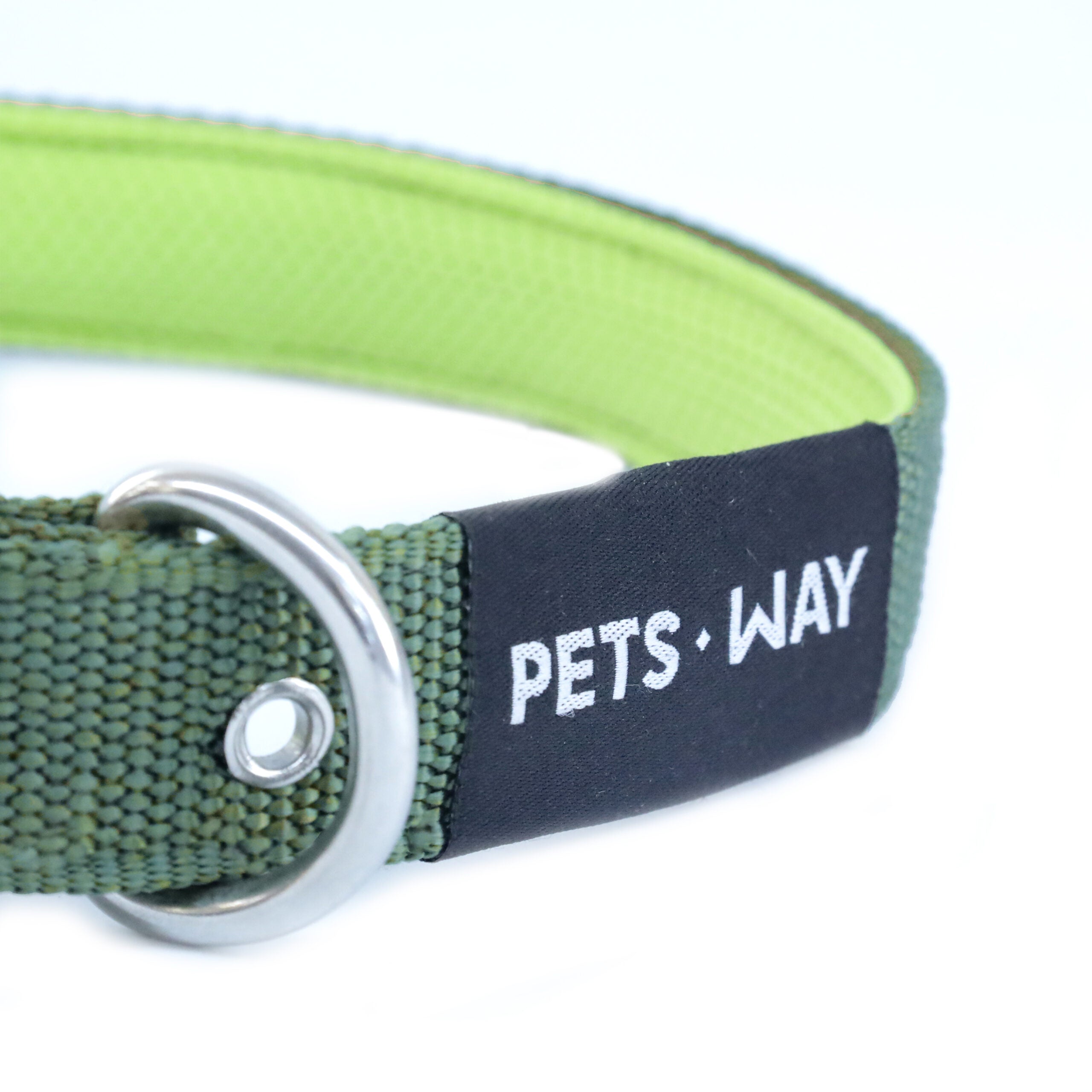 Olive Every Day Dog Collar