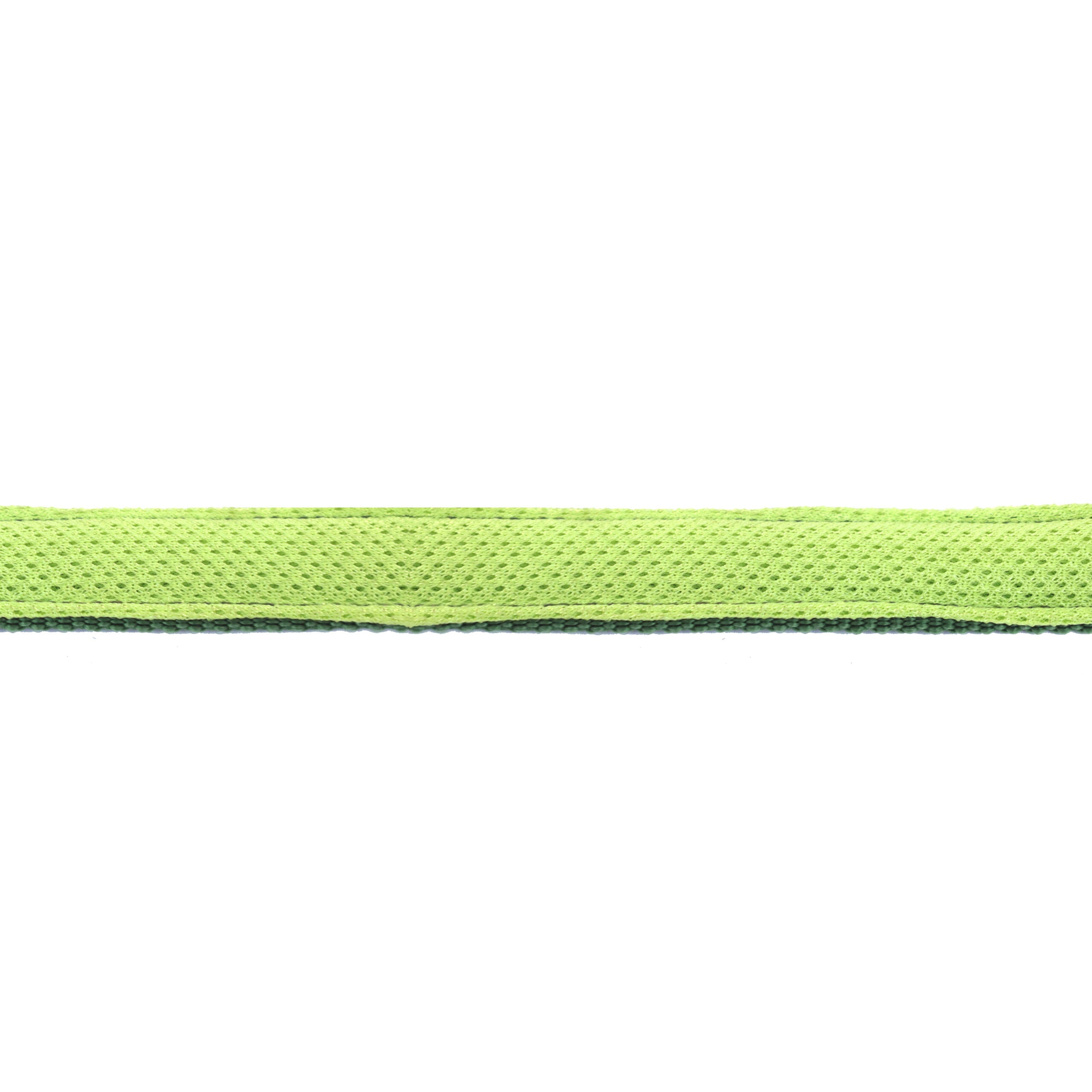 Olive Every Day Dog Collar