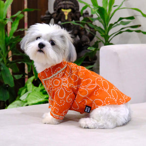 Bandhani - Orange Dog kurta