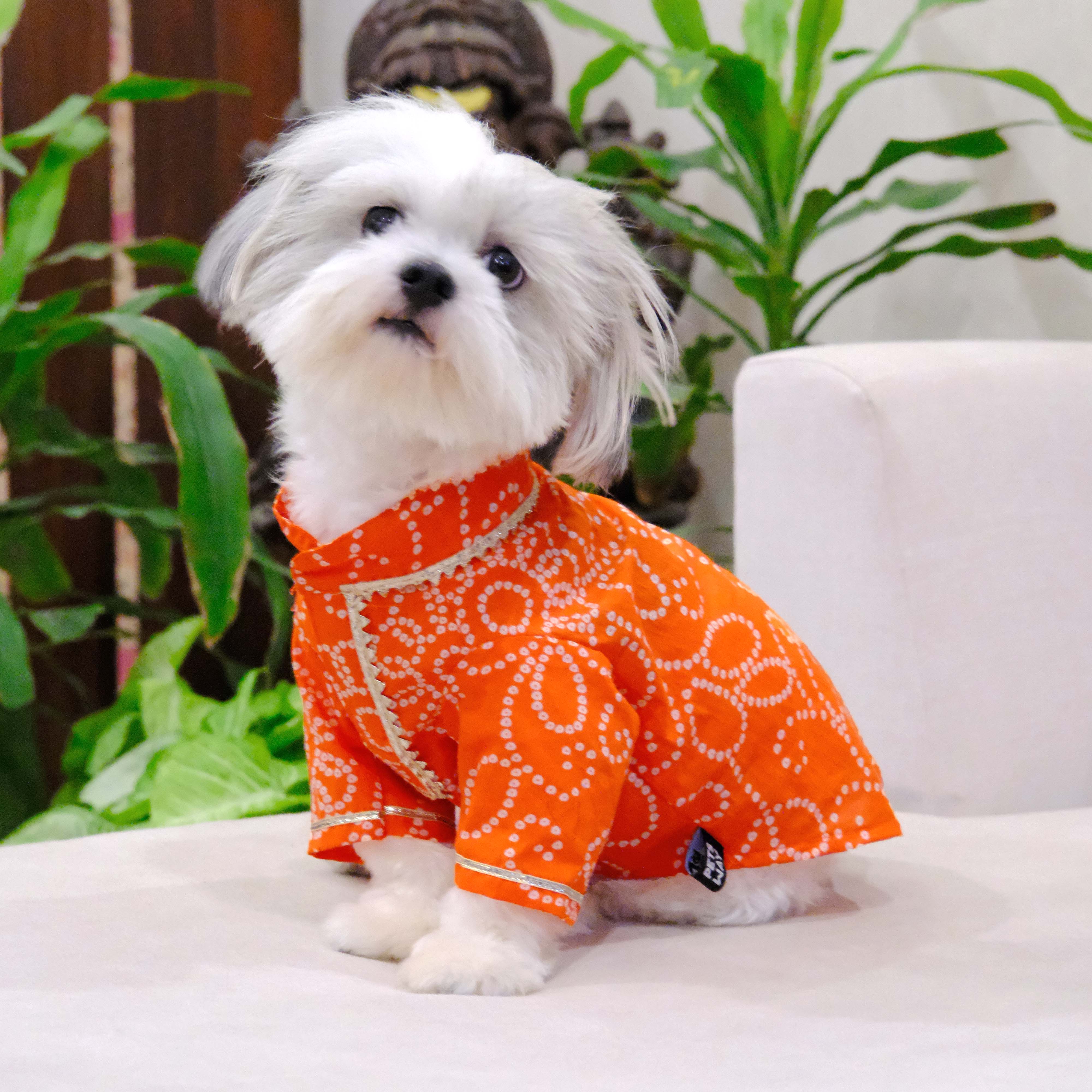 Bandhani Mundu Kurta OG Combo