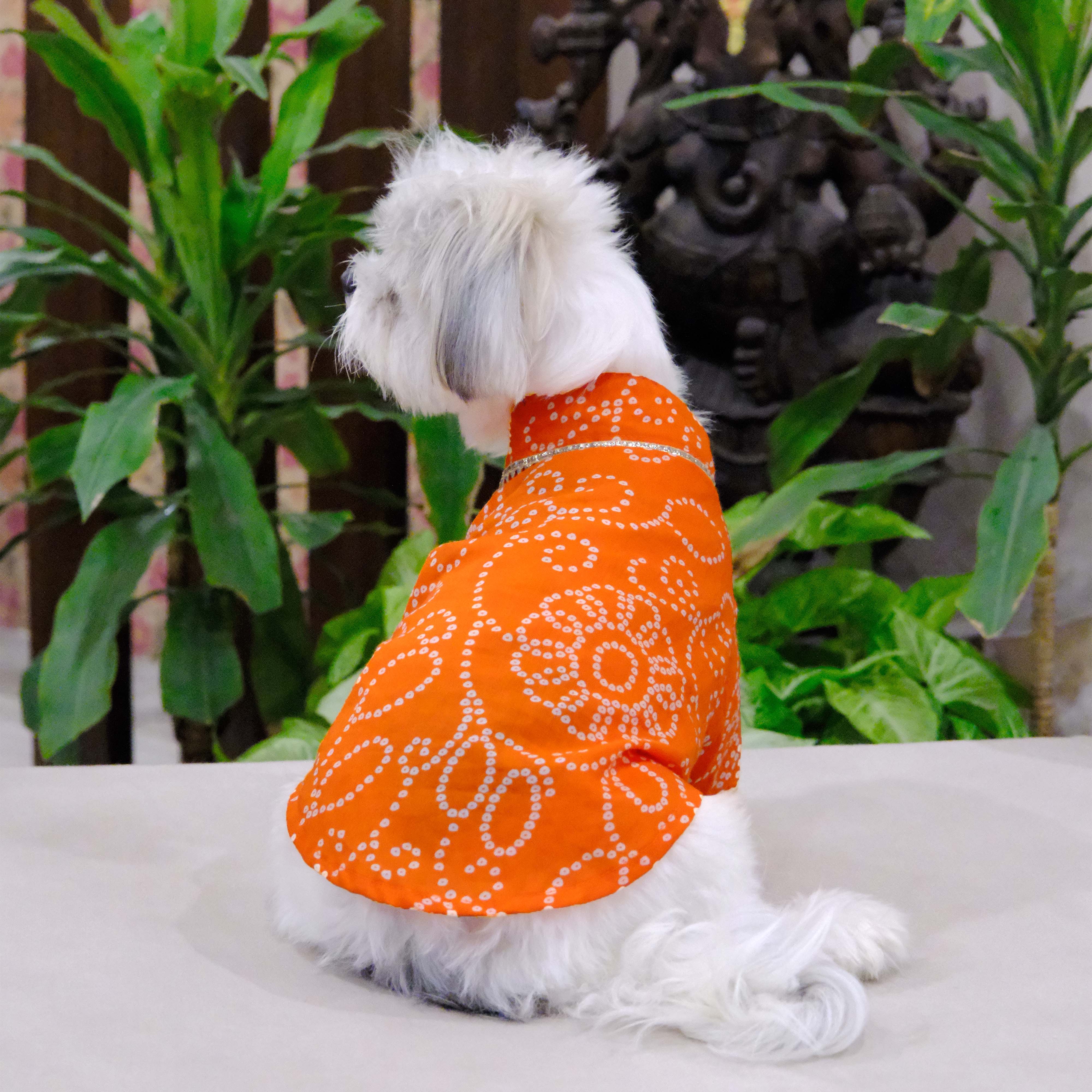 Bandhani Sanganeri- OT Dog Kurta Combo