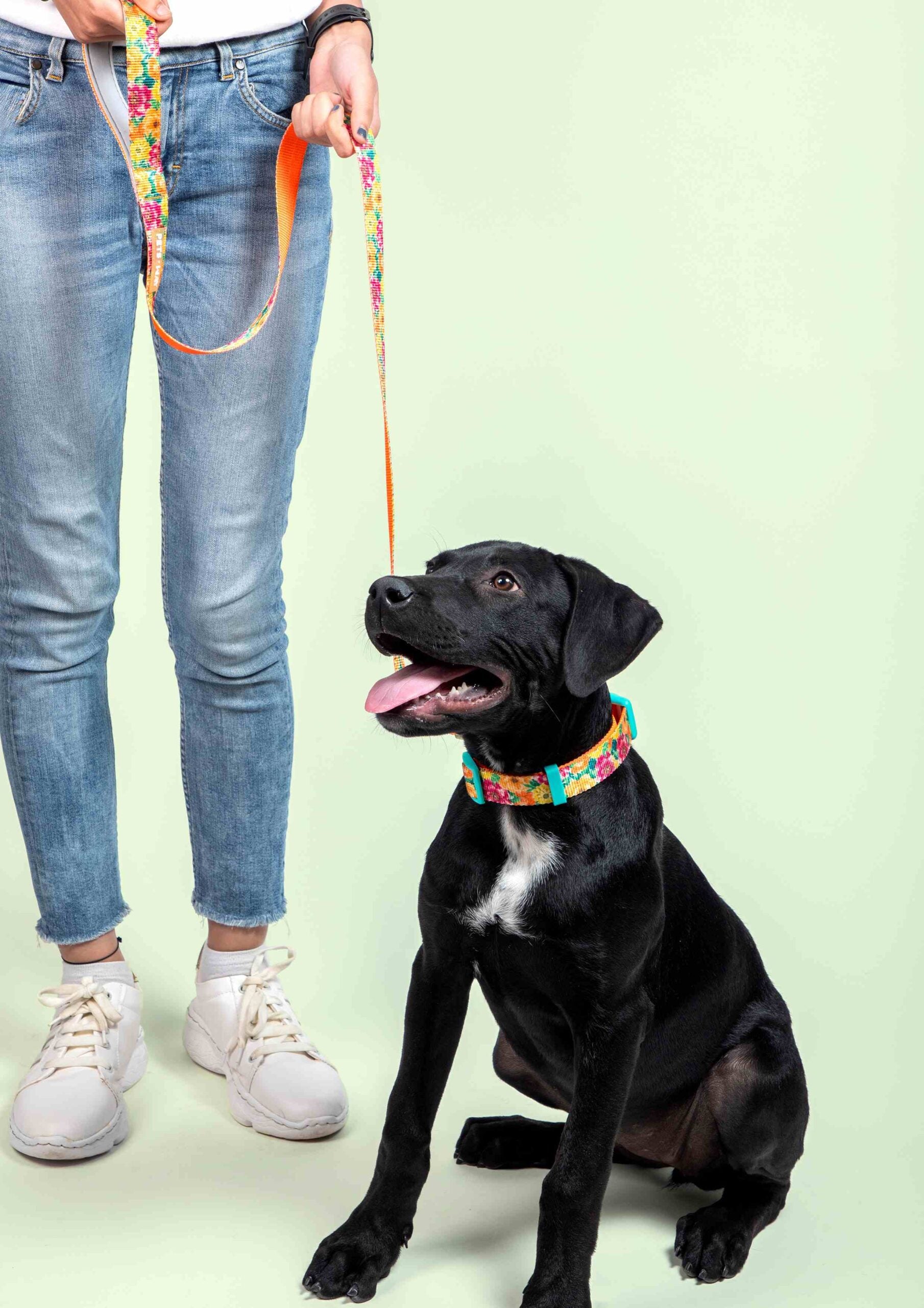 Spring Dog Collar