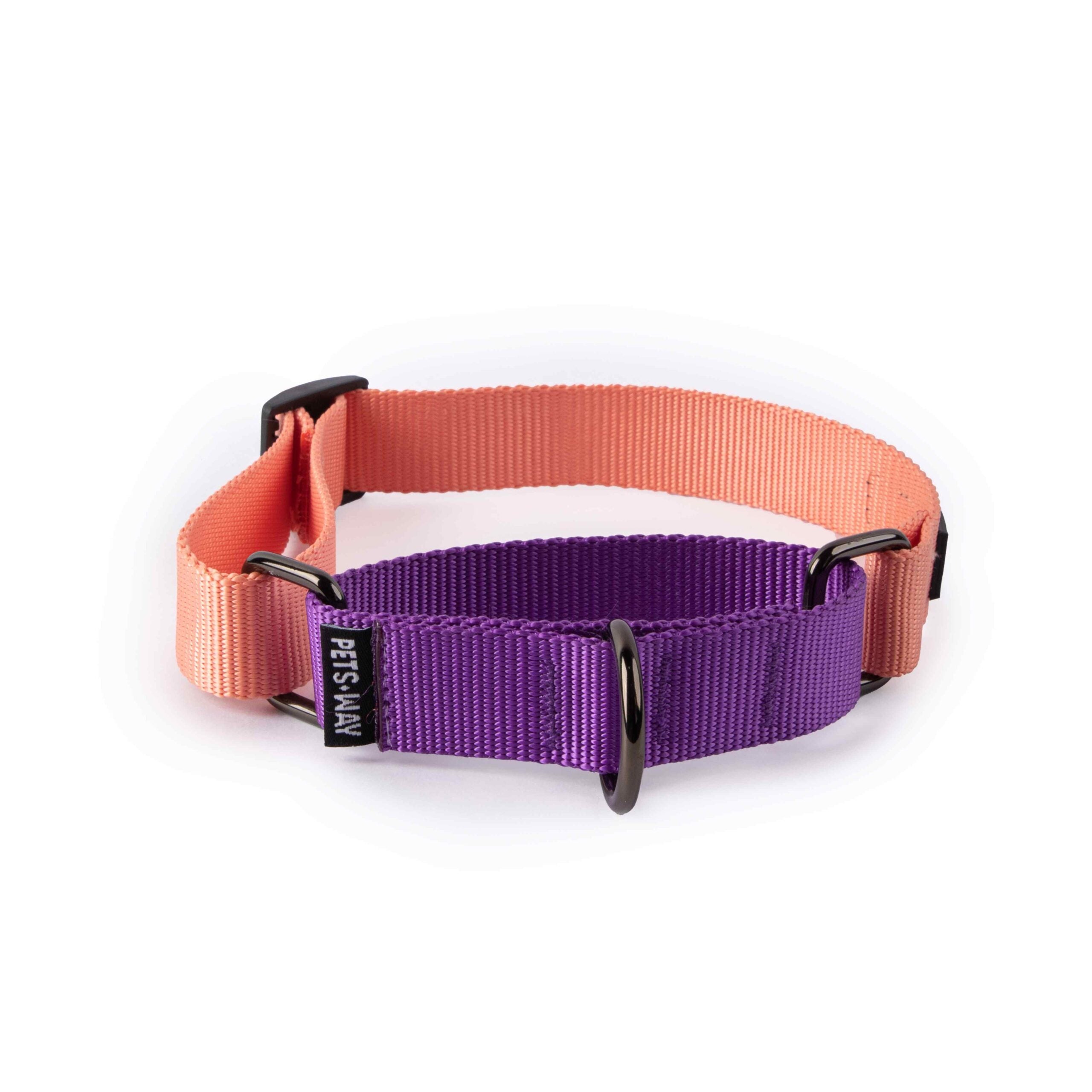 Peach & Amethyst - Martingale Dog Collar