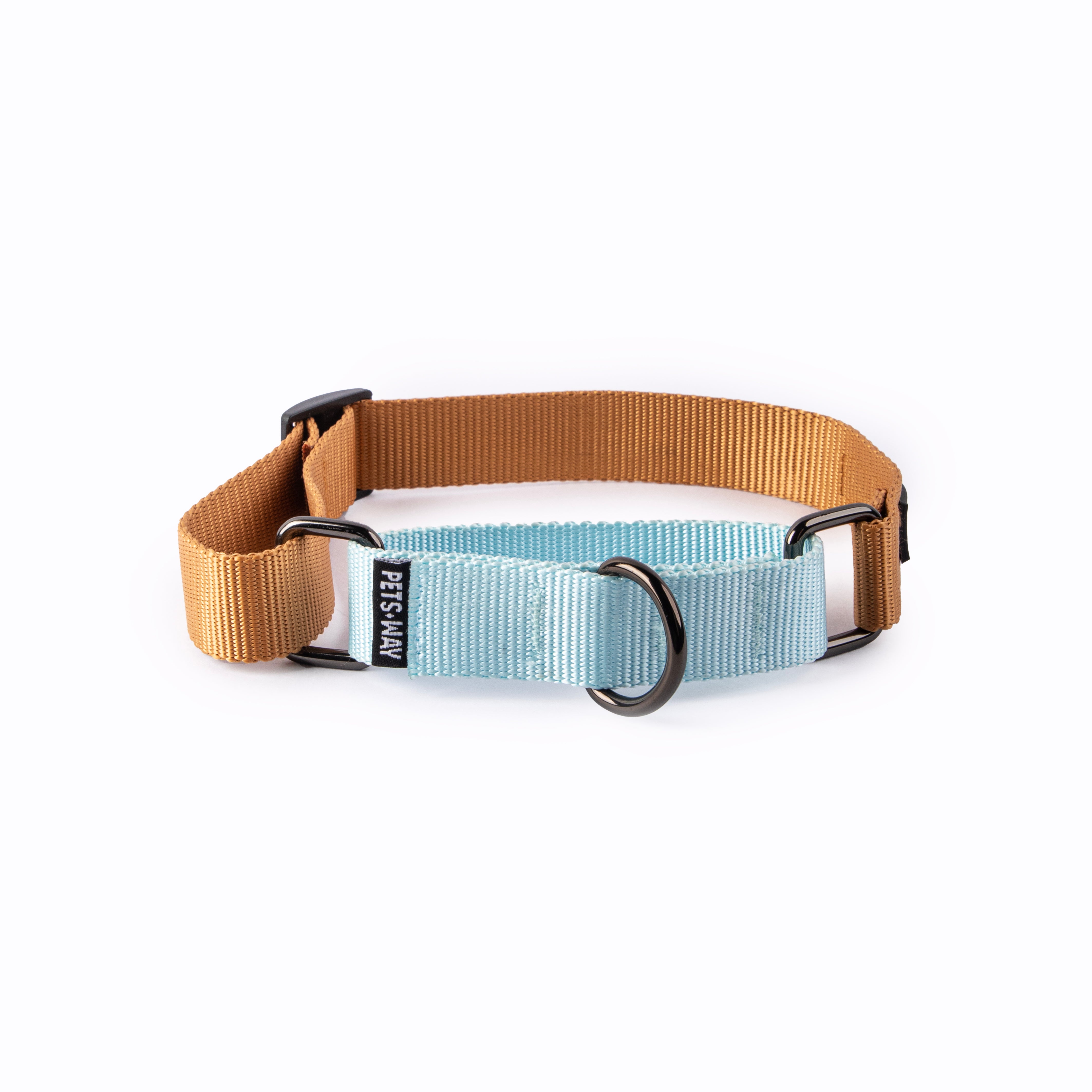 Honey & Sky - Martingale Dog Collar