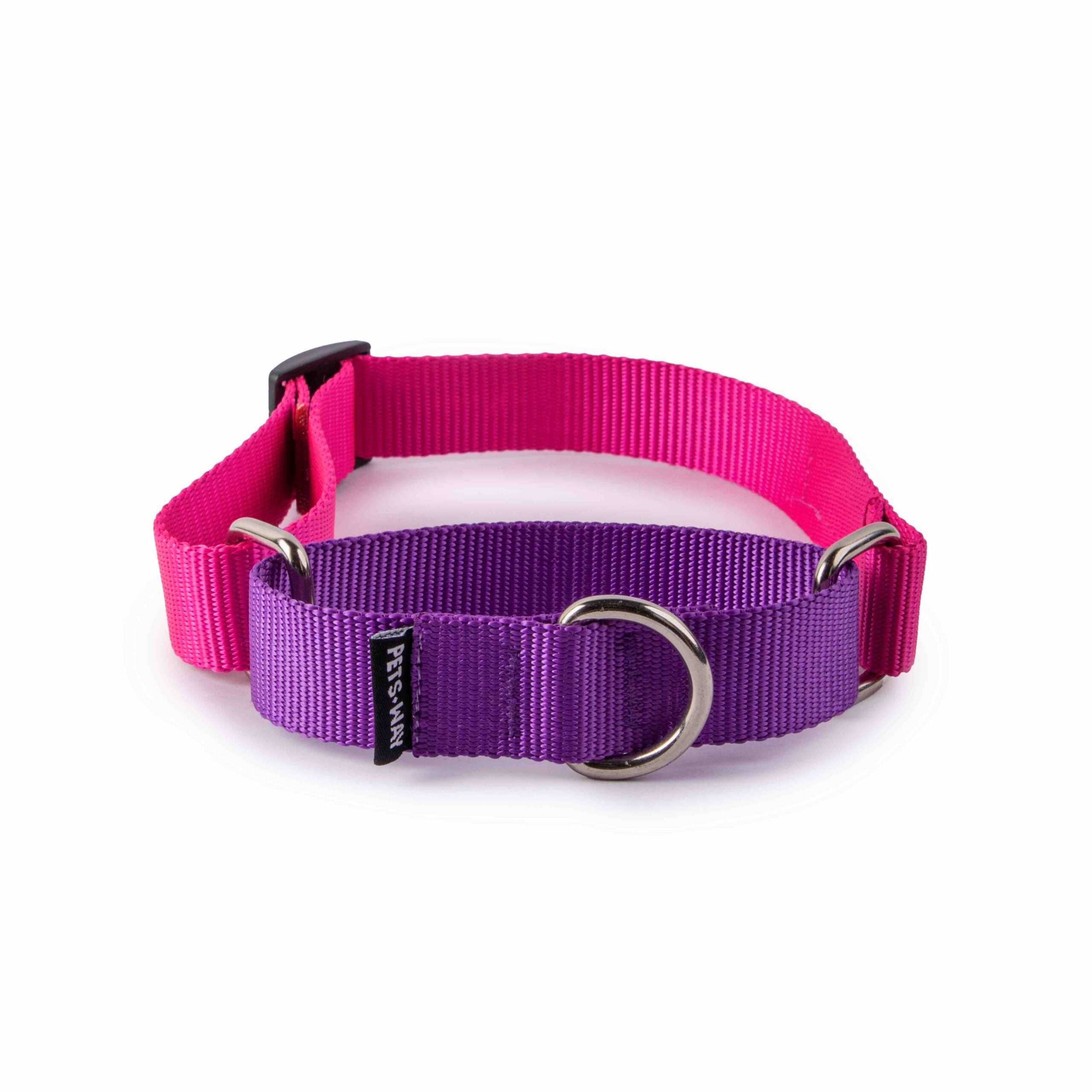 Fuschia & Amethyst - Martingale Dog Collar