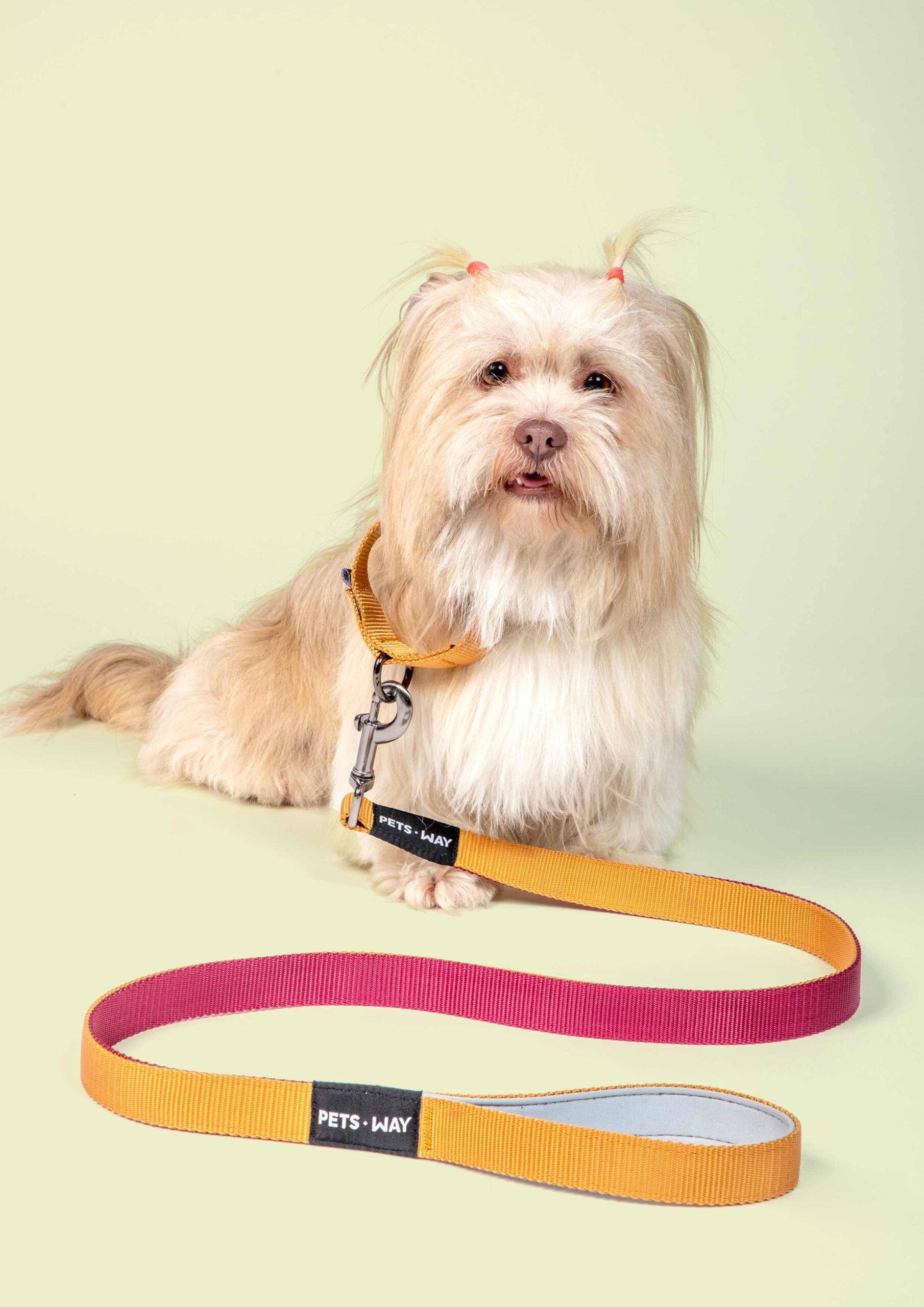 Wine & Honey - Martingale Dog Collar