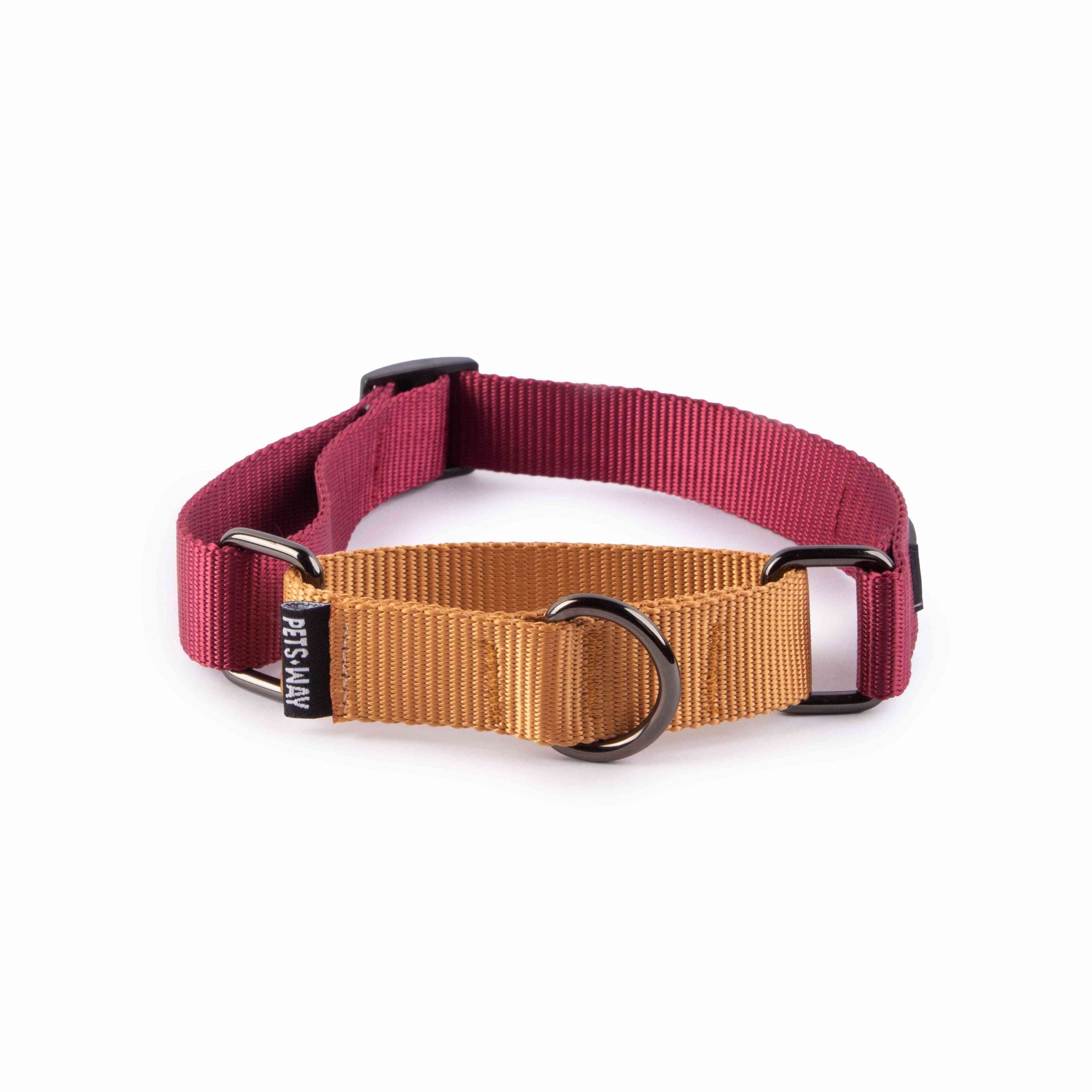 Wine & Honey - Martingale Dog Collar