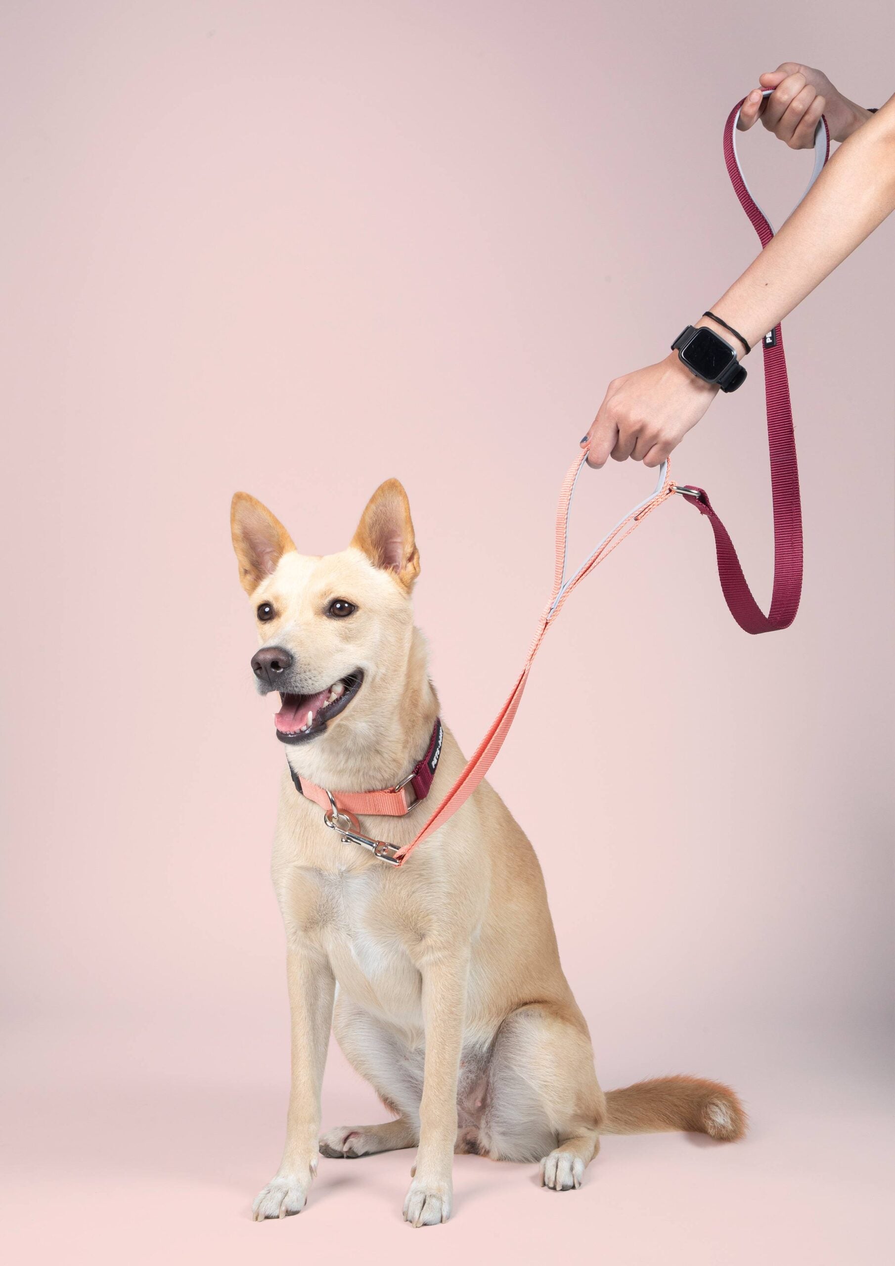 Wine & Peach - Traffic / Dual Handle  Leash