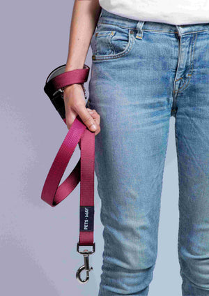 Wine Dog Collar Leash Set