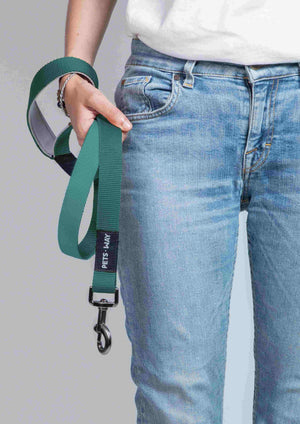 Emerald Dog Collar Leash Set