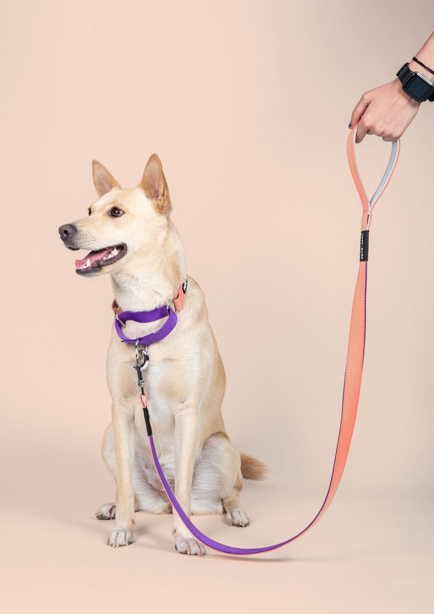 Peach & Amethyst - Dual Color Leash