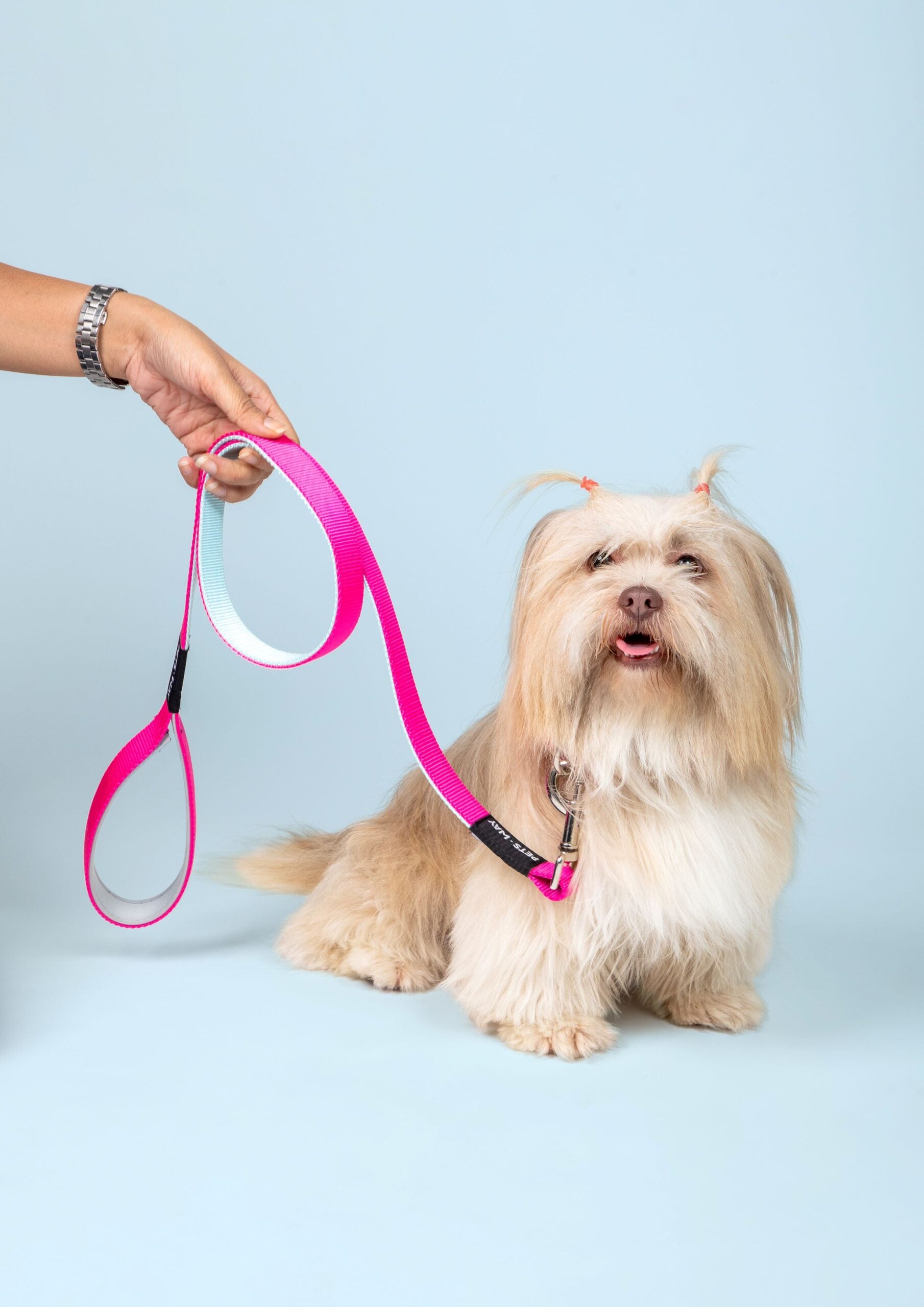 Fuschia & Sky - Dual Color Leash