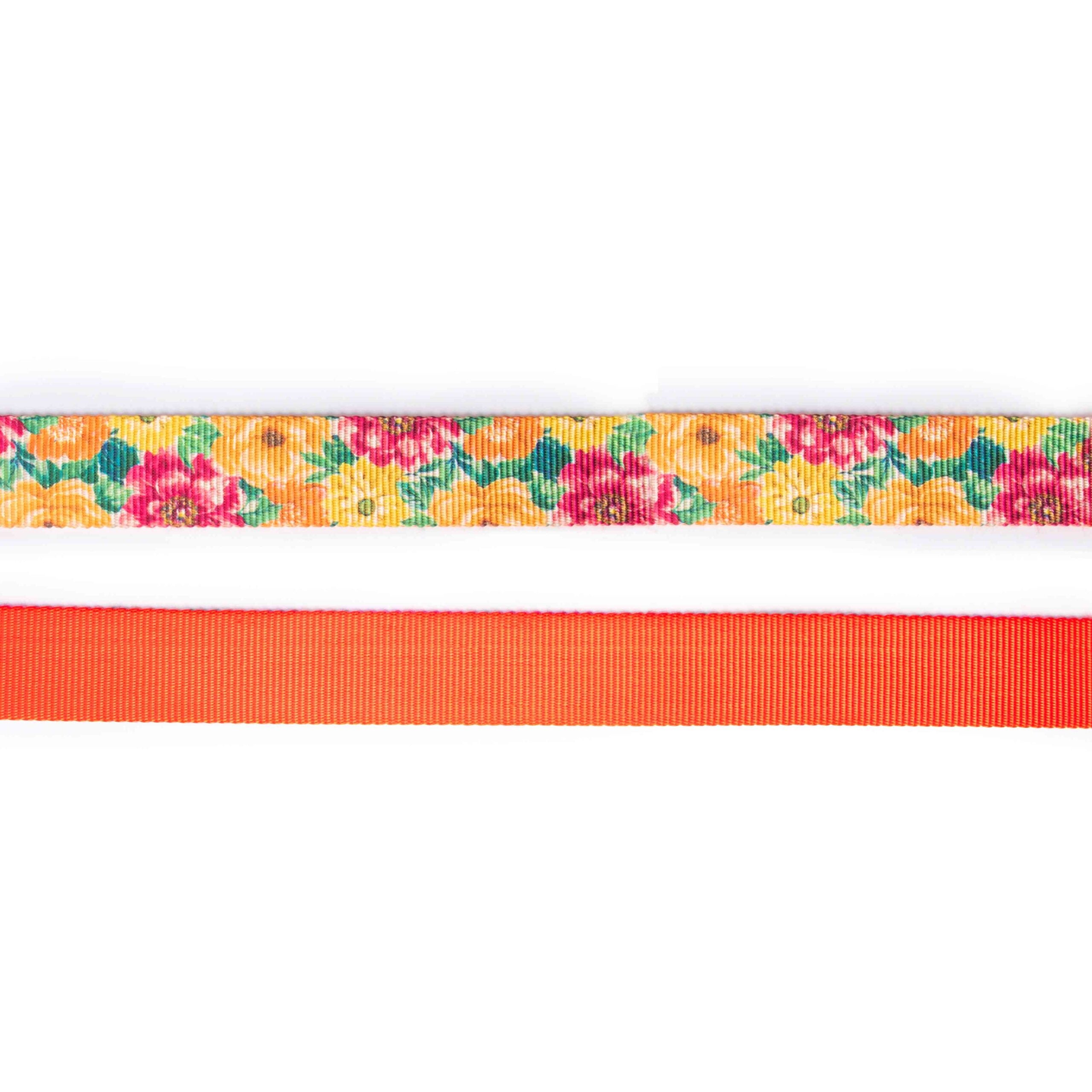 Spring Leash