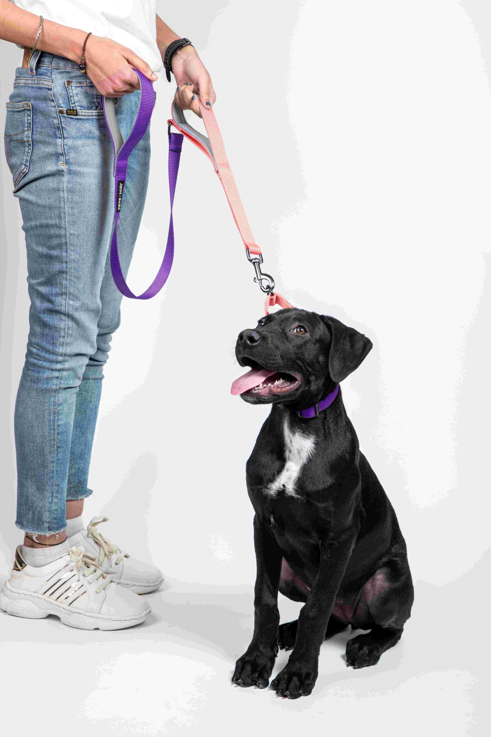 Peach & Amethyst - Traffic / Dual Handle  Leash