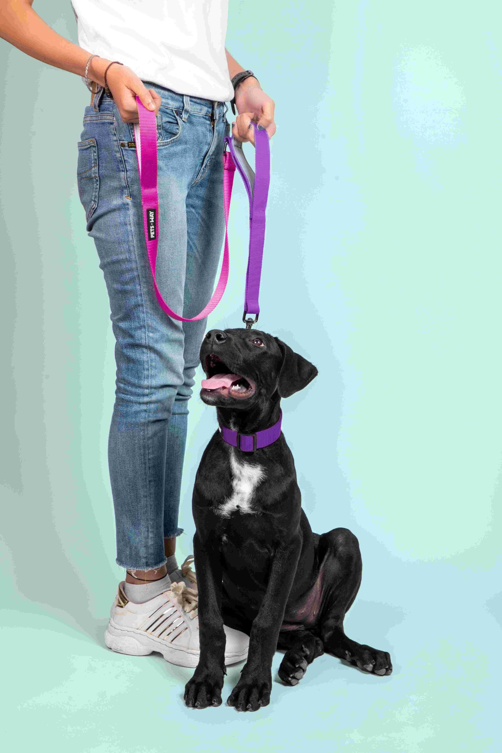 Fuschia & Amethyst - Traffic / Dual Handle  Leash