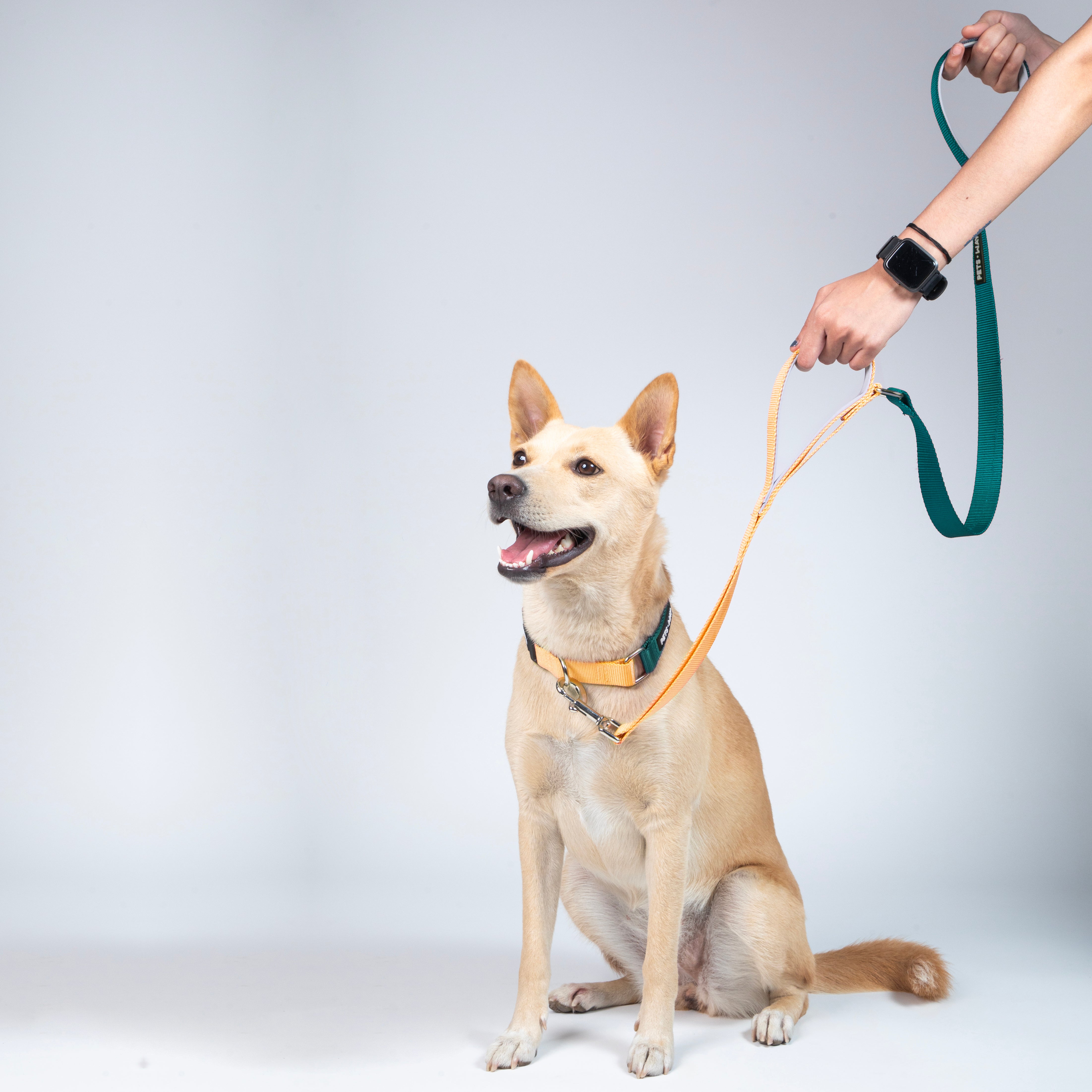 Emerald & Honey - Traffic / Dual Handle  Leash