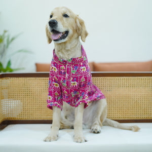 Patola- Fuschia Dog Kurta