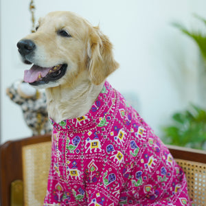 Patola- Fuschia Dog Kurta
