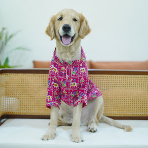 Patola- Fuschia Dog Kurta