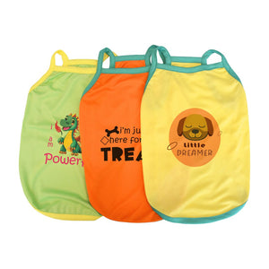 Pawfect Vest Combo-petsway