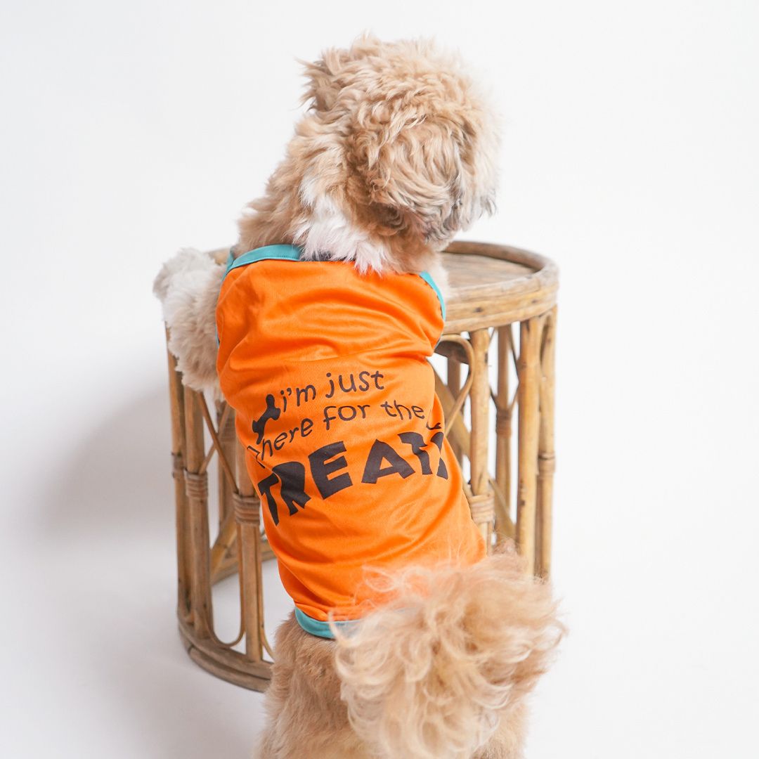 tangerine vest 