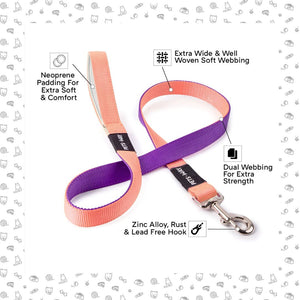 feature image of Peach & Amethyst Dual Color Dog Leash- petsway