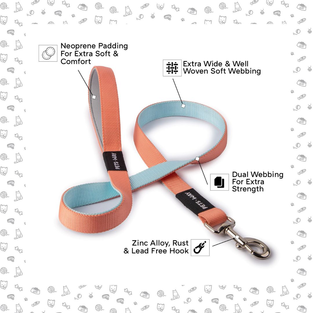 feature of Peach & Sky dual-color dog leash-petsway