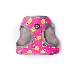 Pine Full Body Cloud-Fit Harness (Small Breed)