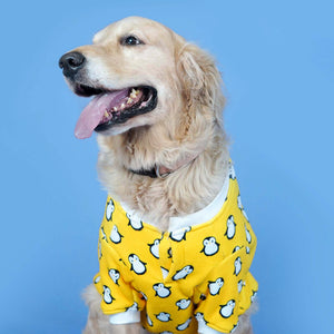 Pingu Dog Sweatshirt