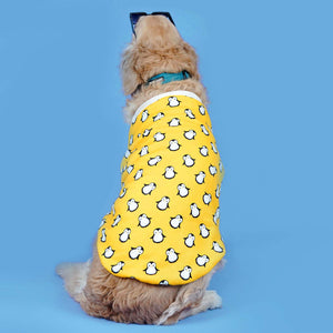 Pingu Dog Sweatshirt