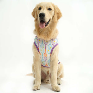 dog wear front side of Play Time Printed Dog Vest-petsway