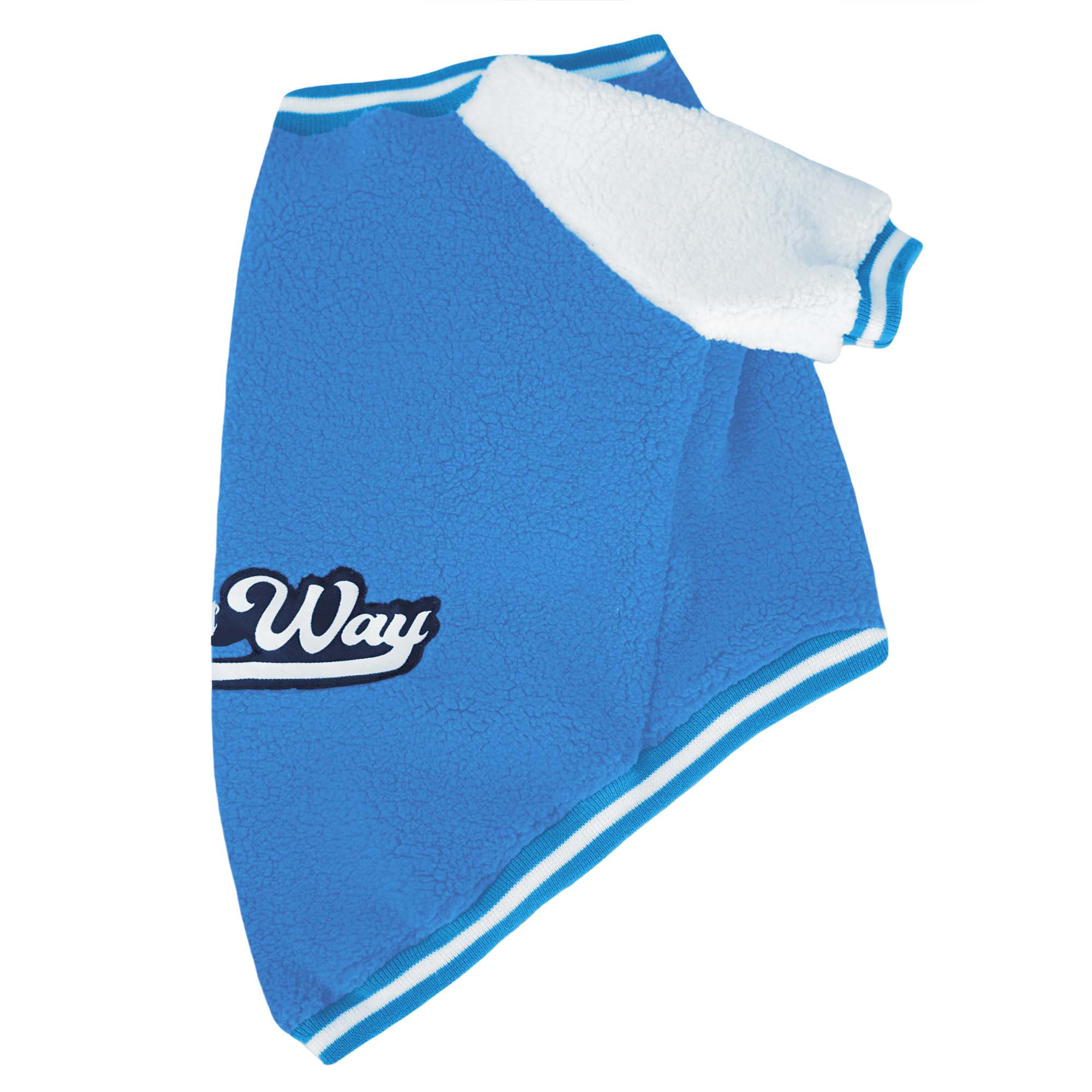 Crazy Pawsity – Pool Dog Jacket