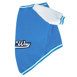 Crazy Pawsity – Pool Dog Jacket