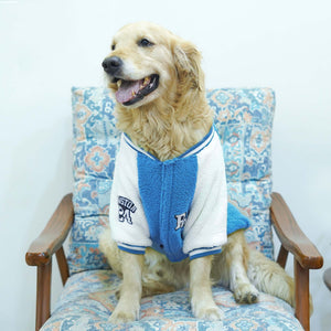 Crazy Pawsity – Pool Dog Jacket