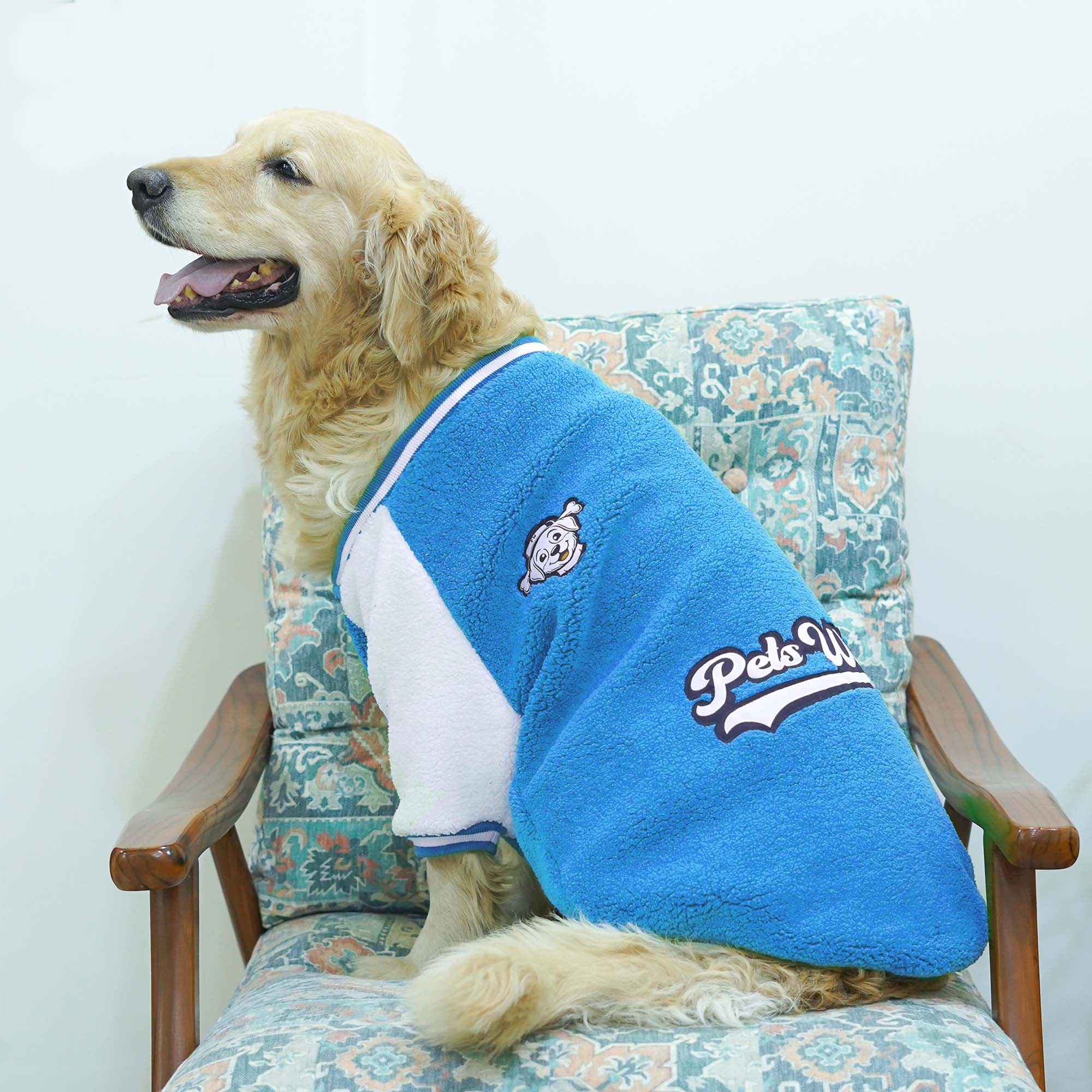 Pawsity – Pool Dog Jacket