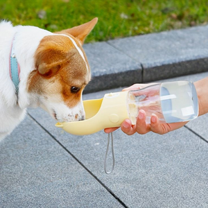 Portable pet water bottle
