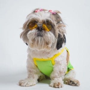 dog wear front of Powerful Dog Vest-petsway
