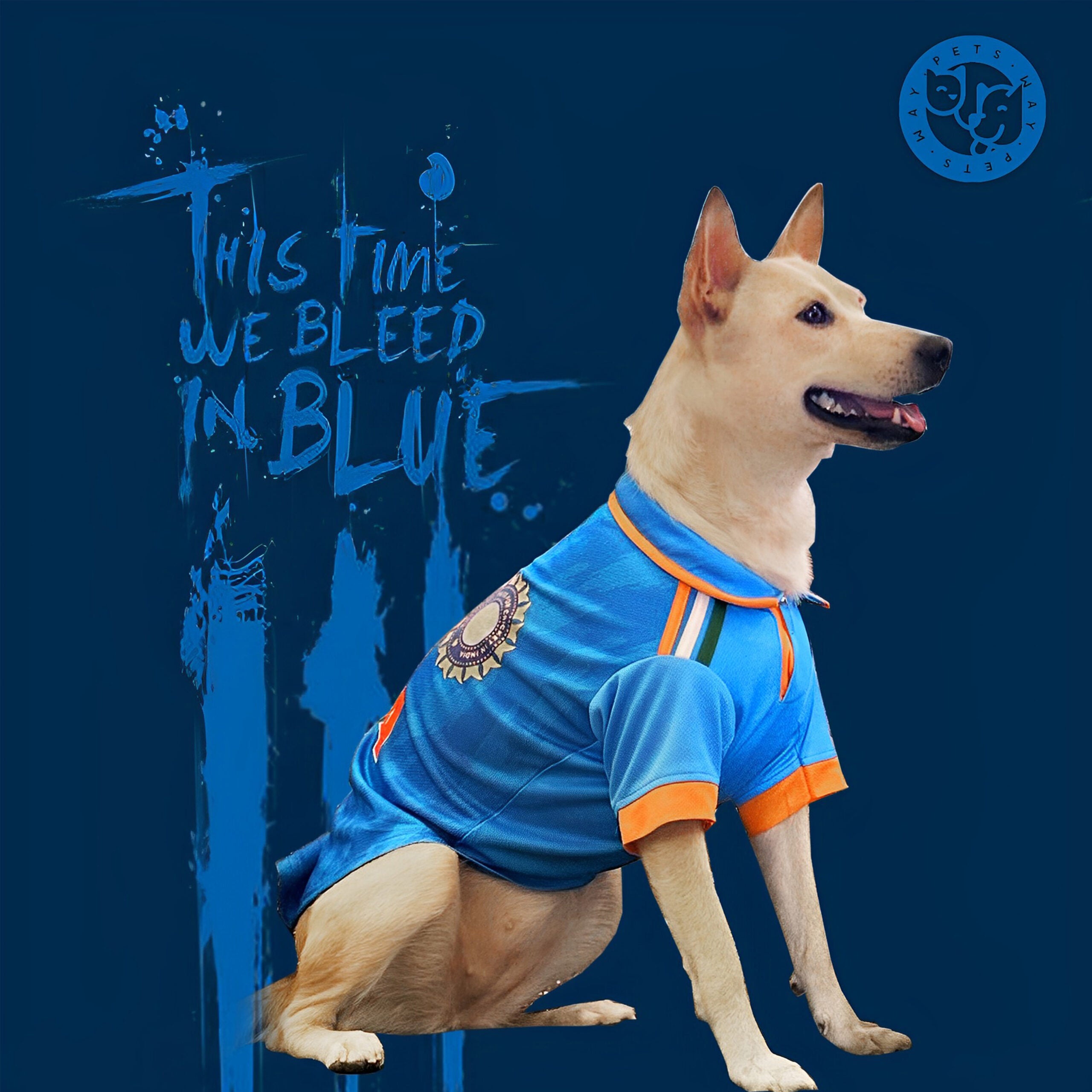 India Cricket Dog Jersey