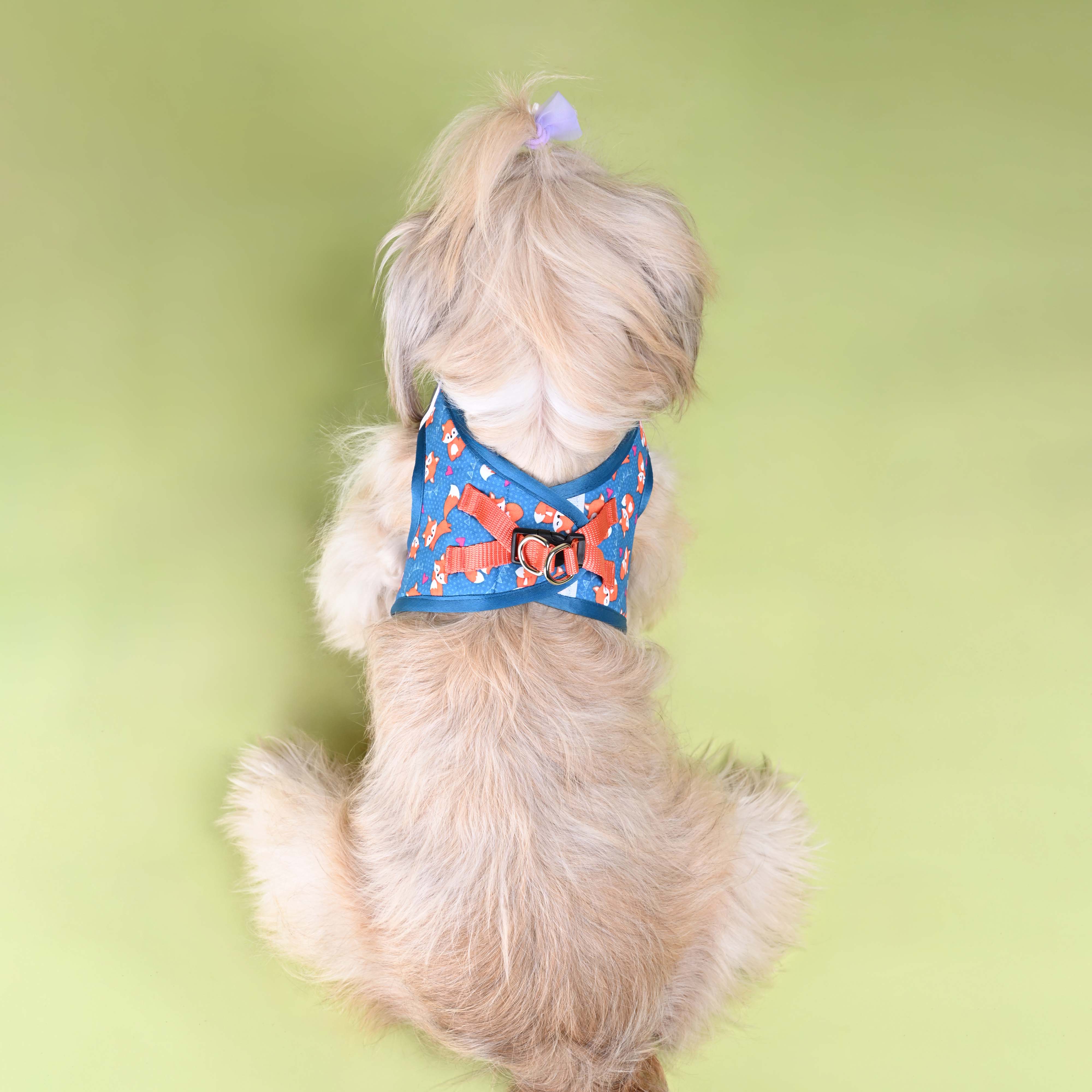 Foxie Full Body Comfort Harness (Small Breed)