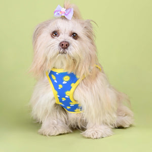 Sunny Full Body Cloud-Fit Harness (Small Breed)