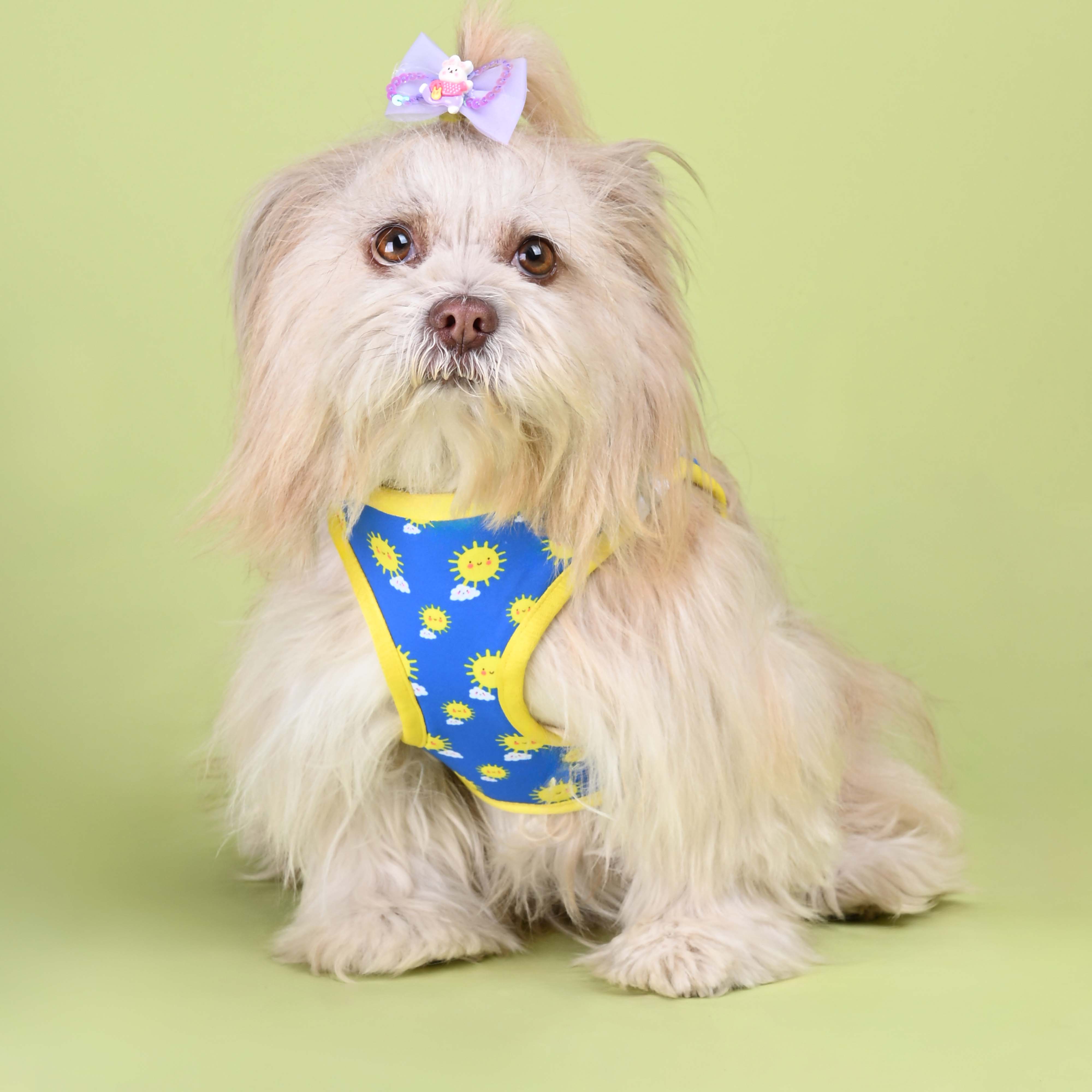 Sunny Full Body Comfort Harness (Small Breed)