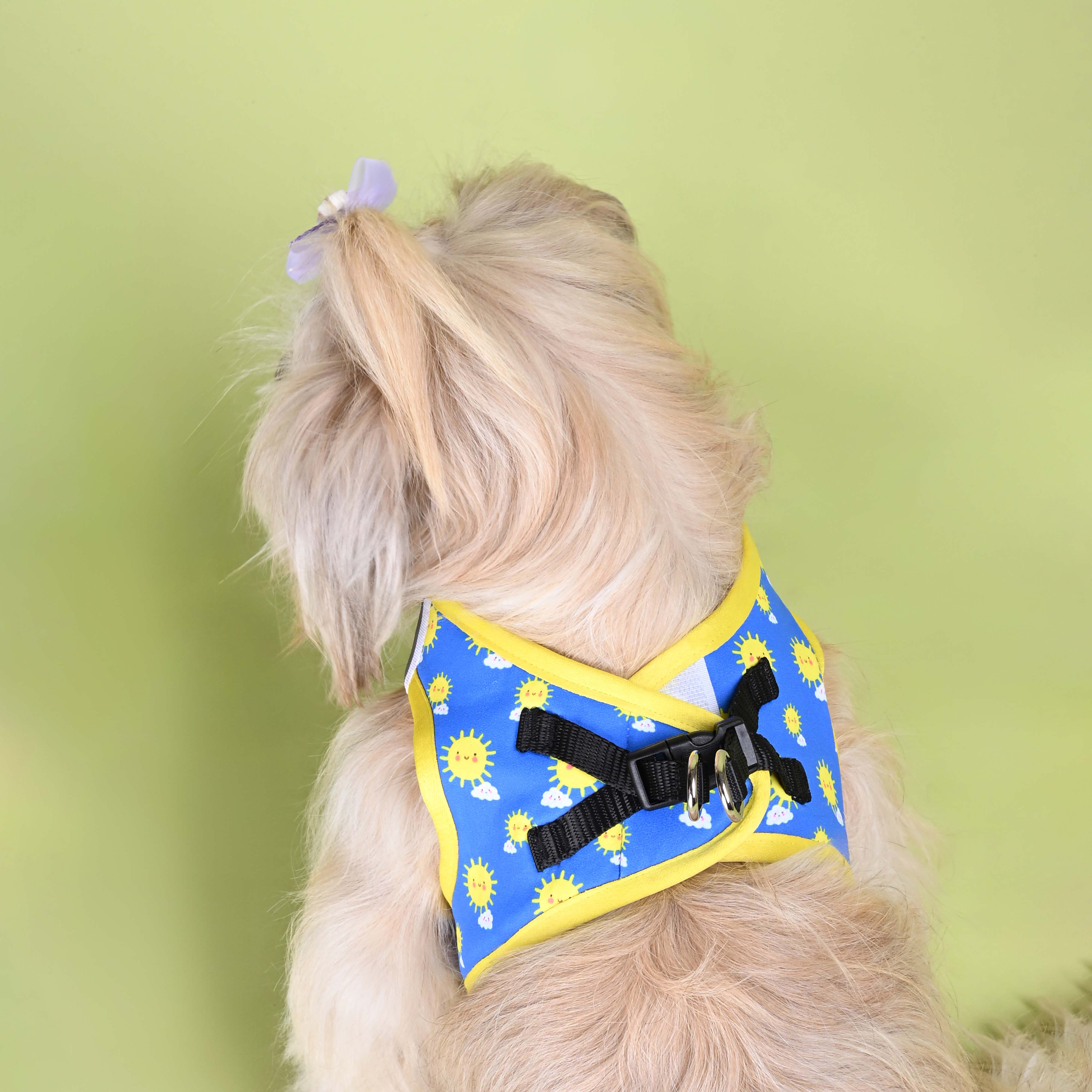 Sunny Full Body Comfort Harness (Small Breed)