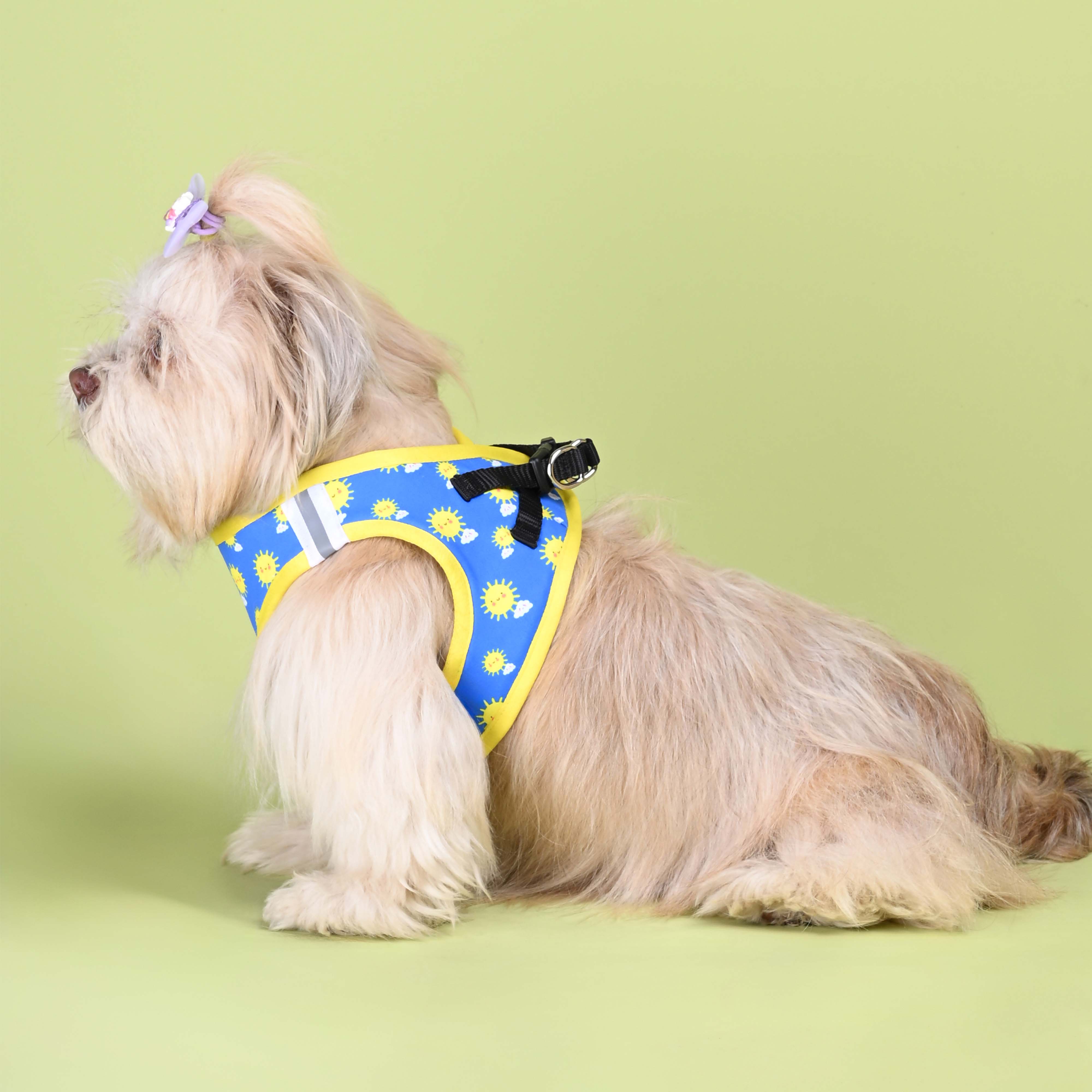 Sunny Full Body Comfort Harness (Small Breed)