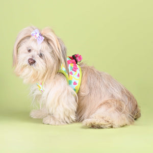 Fruity Full Body Cloud-Fit Harness (Small Breed)