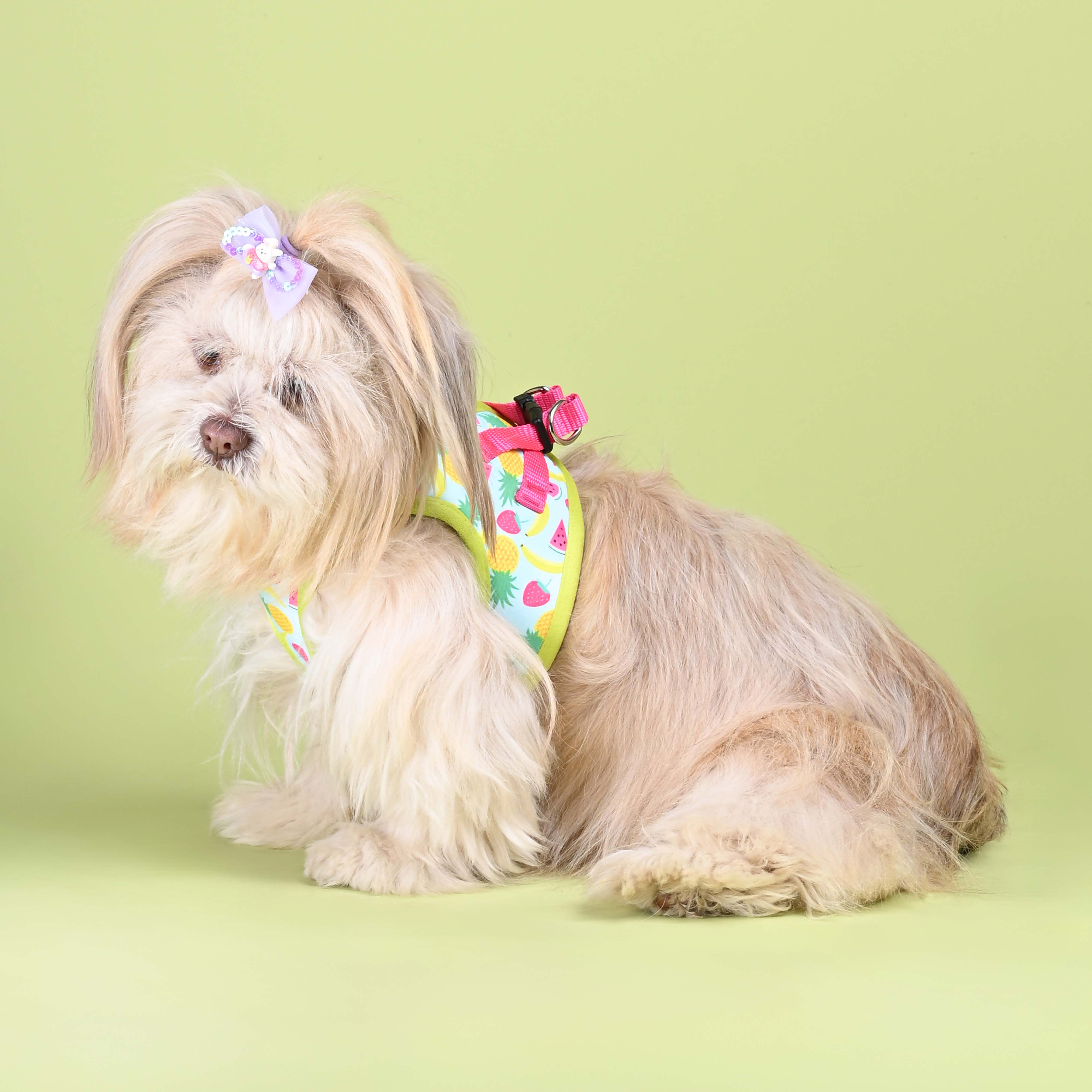 Fruity Full Body Comfort Harness (Small Breed)
