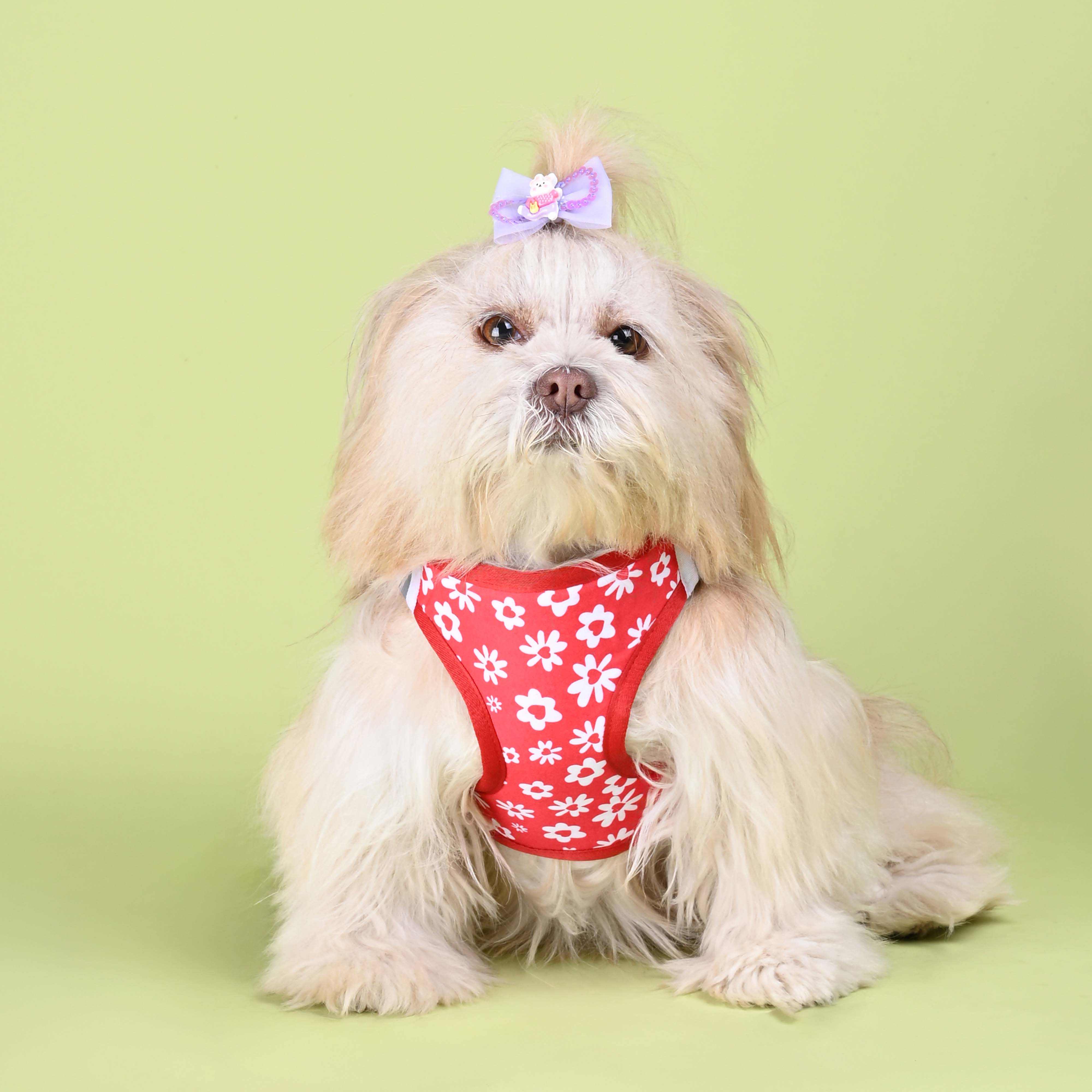 Cupid Full Body Comfort Harness (Small Breed)