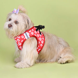 Cupid Full Body Cloud-Fit Harness (Small Breed)