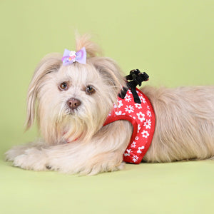 Cupid Full Body Cloud-Fit Harness (Small Breed)