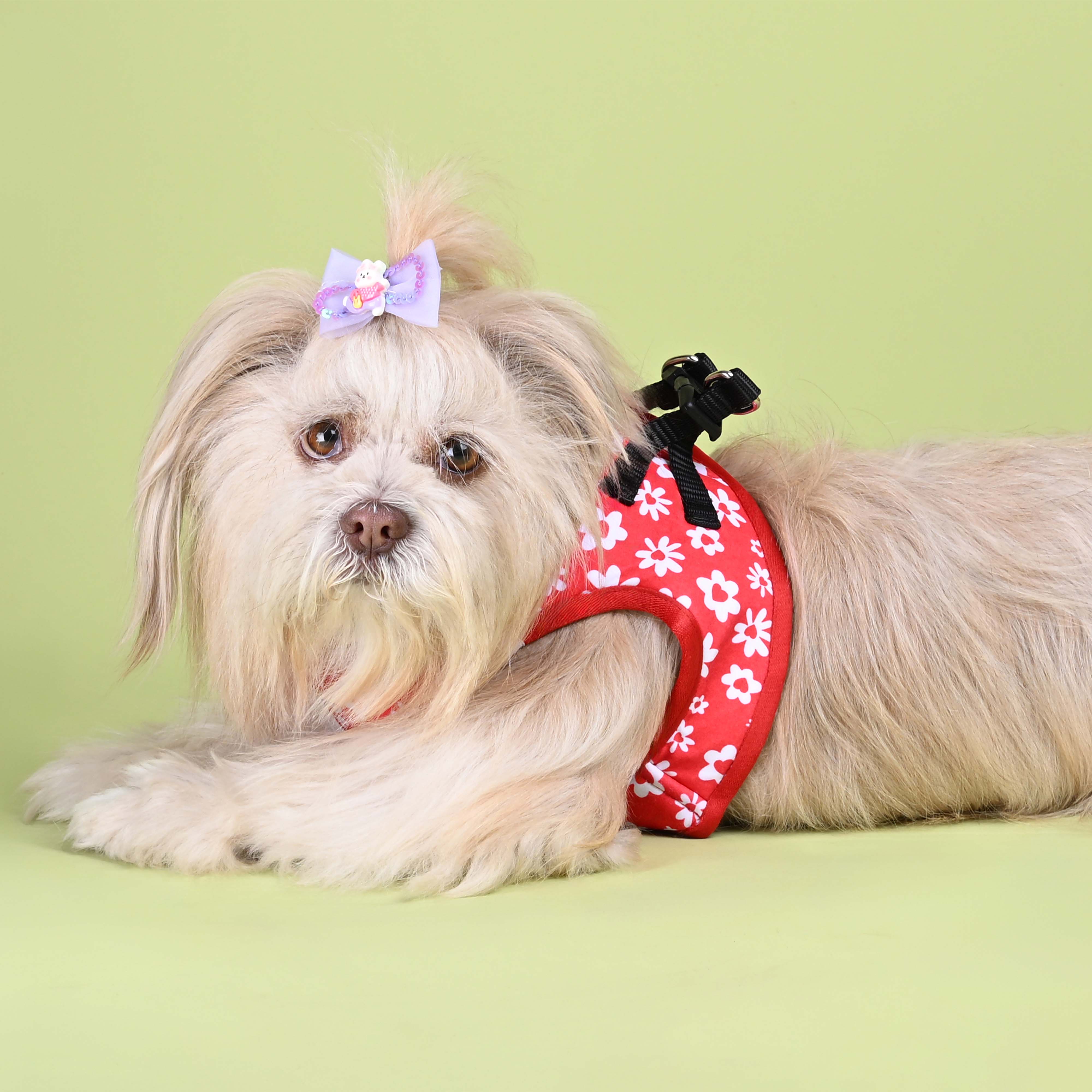 Cupid Full Body Comfort Harness (Small Breed)
