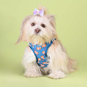 Foxie Full Body Cloud-Fit Harness (Small Breed)